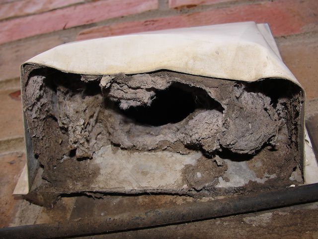 Dryer Vent at a Henderson Home Inspection